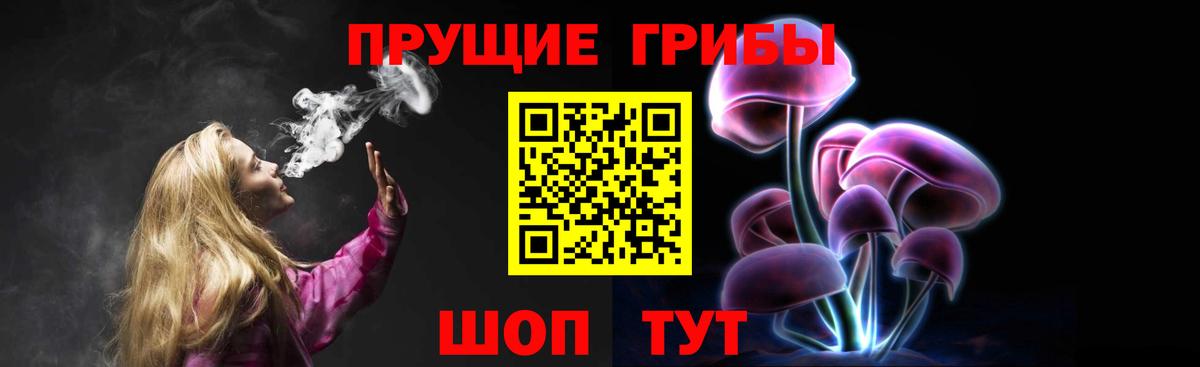 Галлюциногенные грибы Cubensis Избербаш
